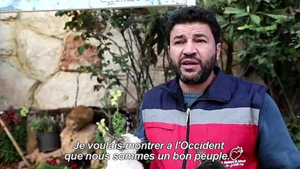 Dans la Syrie en guerre, un improbable refuge pour chats