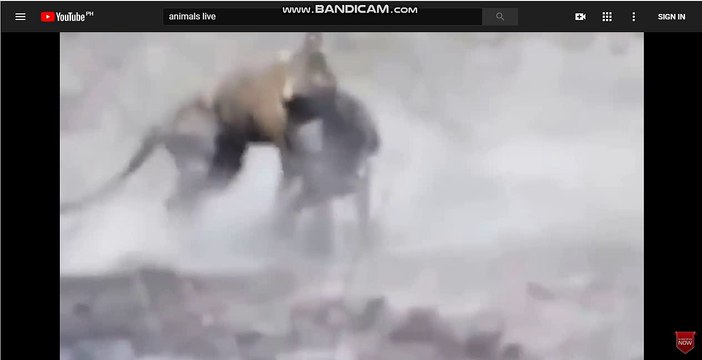 실시간카지노 카지노게임[TG701．ＣＯM]카지노게임 카지노게임 블랙잭 카지노게임 aw220