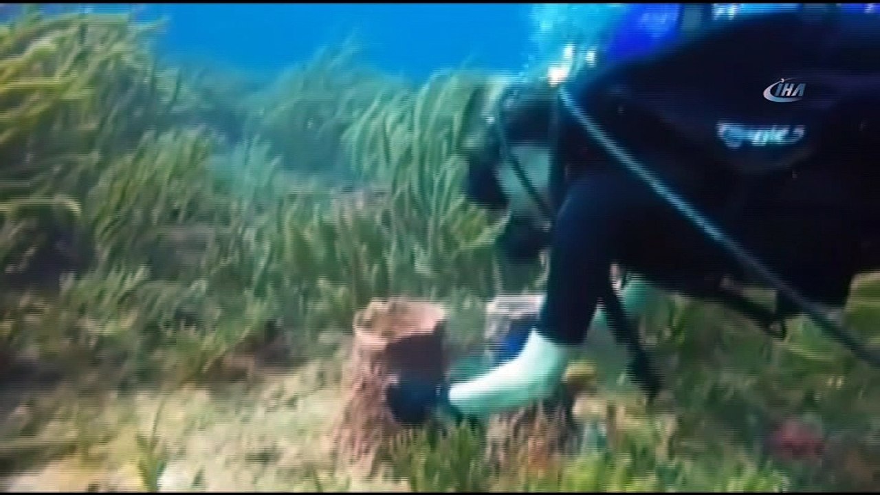 Denizin altındaki çöpleri gönüllü olarak temizliyor