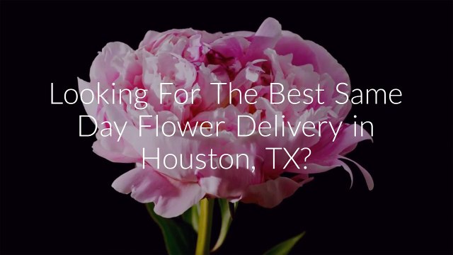 Looking For The Same Day Flower Delivery in Houston TX - Call @ 832-648-3845