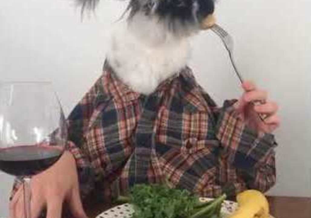 Bunny Enjoys Classy Dinner