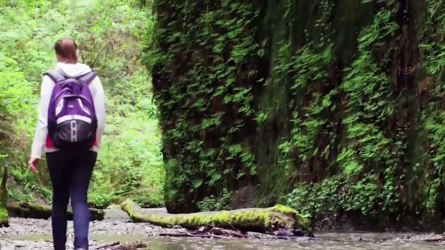 Топ 7 ТРИКА,Които един ден МОГАТ да ви СПАСЯТ ЖИВОТА!