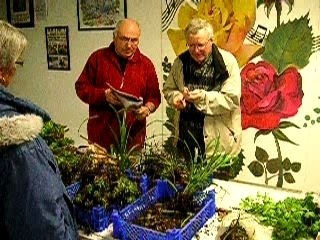 3ème Vide Jardin  Société d'Horticulture du Bas Léon