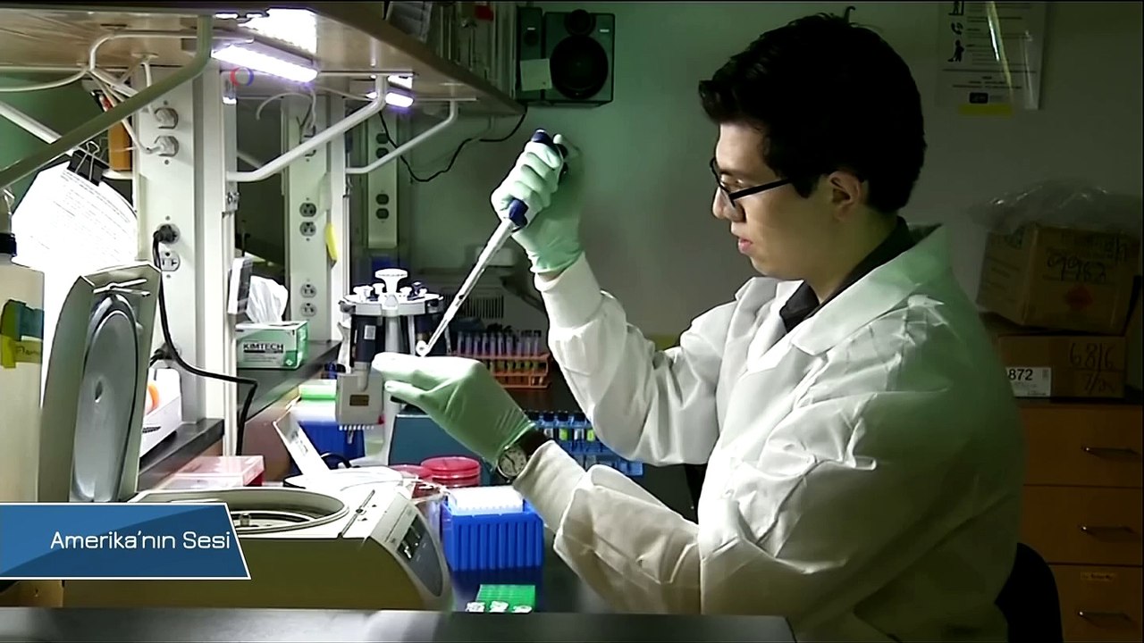 Genetik Testler Neden Gıda Zehirlenmesi Geçirdiğiniz Açıklayabilir mi?