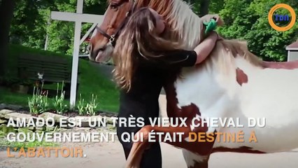 Elle se lie d'amitié avec un cheval
