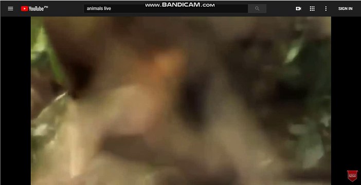 카지노싸이트 바카라싸이트[TG701．ＣＯＭ]바카라싸이트 바카라싸이트 섯다 바카라싸이트 kp372