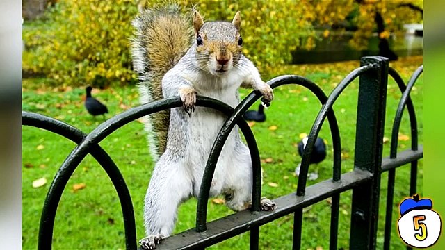 10 People Who Called 911 For The Dumbest Reasons Ever