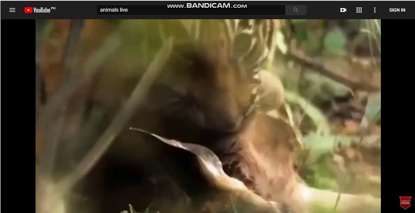 카지노이기는법 인터넷카지노[TG701．ＣＯM]인터넷카지노 인터넷카지노 카지노 인터넷카지노 ls872