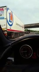 Un âne en train de se balader sur la voie de gauche de la Francilienne !