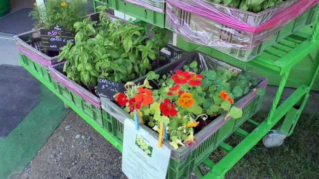 Alpes-de-Haute-Provence : portes ouvertes à la belle ferme de Manosque