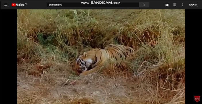 카지노잘하는법 생방송바카라[TG701.COM]생방송바카라 생방송바카라 UWIN 생방송바카라 lc116