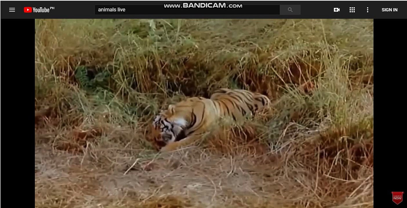 카지노잘하는법 생방송바카라[TG701.COM]생방송바카라 생방송바카라 UWIN 생방송바카라 lc116