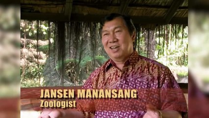 Unstable Man Jumps into Zoo’s Lion Exhibit_HD