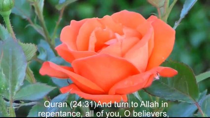 Say This Dua Every Morning And Evening Thrice Ep 16 POP Ramadan 2018