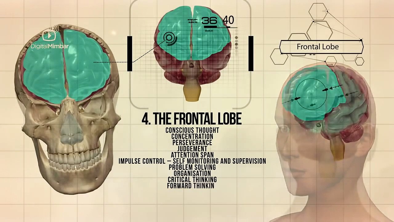 Lying & Sinning - The Shocking Facts