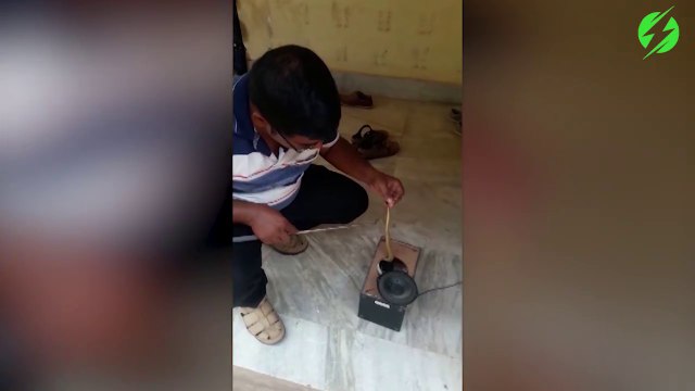 Il trouve un petit cobra dans le haut-parleur de sa chaine hi-fi