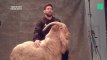 Lionel Messi pose avec une chèvre, mais n'est pas 