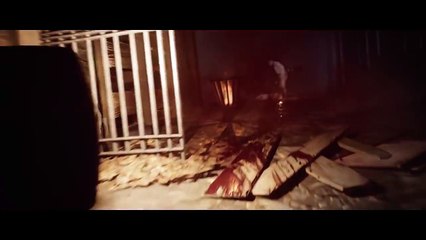 How to fix mouse lag in VAMPYR