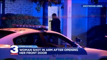 Gunman Knocks on Door, Shoots Young Mother in Memphis