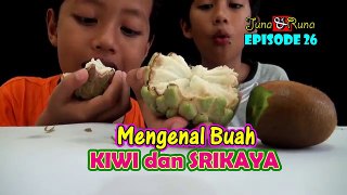 Makan Buah KIWI ✿ Rasanya Gimana Gitu