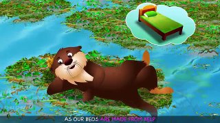 Sea Otter Nursery Rhyme | ChuChuTV Sea World | Animal Songs For Children