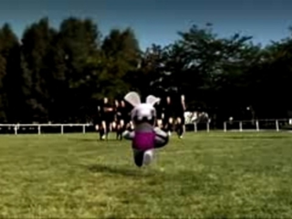 les lapin cretin