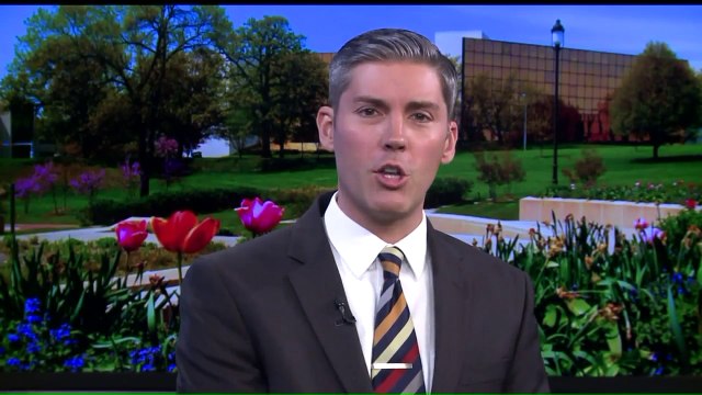 Goose Rescued From Snapping Turtle by Man on Unicorn Pool Toy