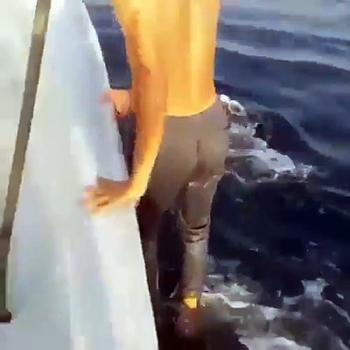 Ce touriste s'amuse à marcher sur le dos d'un requin baleine