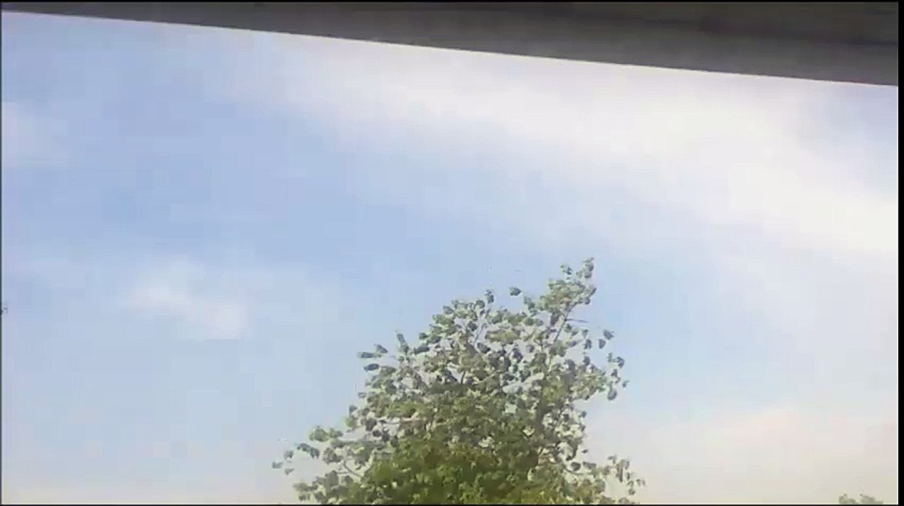 A Clear Sunny Blue Sky and a Grey Cloudy Overcast Sky with a glimpse of a Bird in Flight