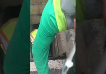 Passers-by Band Together to Rescue Ducklings From Drain in Pennsylvania