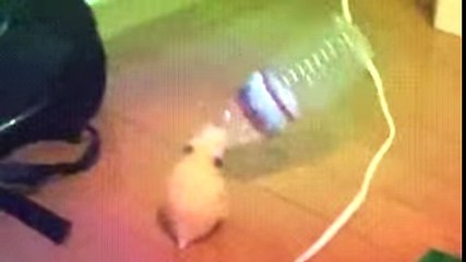 토토사이트추천 (【『ＳＡＹ８7.Ｃoｍ 』】)【코드: 0004】ヅqxm강원랜드카지노