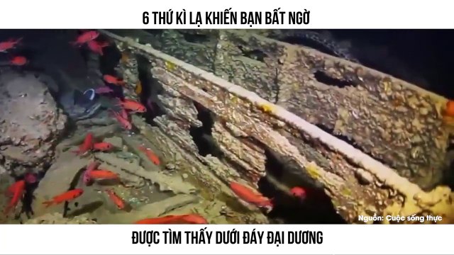 6 THỨ KÌ LẠ KHIẾN BẠN BẤT NGỜ ĐƯỢC TÌM THẤY DƯỚI ĐÁY ĐẠI DƯƠNG