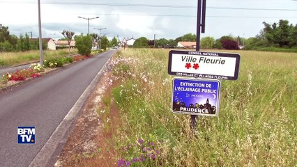 Comment venir à bout du moustique-tigre