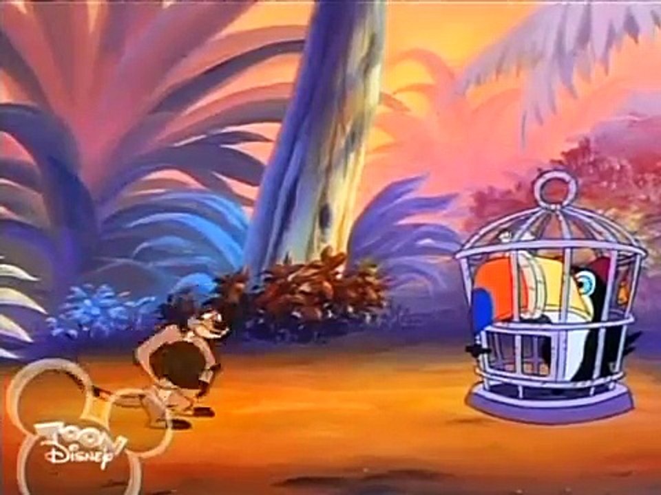 Timon & Pumbaa - I Don't Bolivia (E30b)