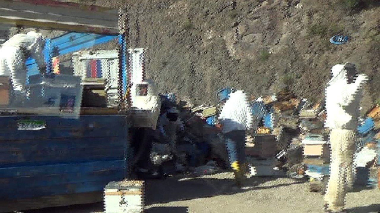 Arı kovanı yüklü kamyon devrildi, binlerce arı sürücülere zor anlar yaşattı