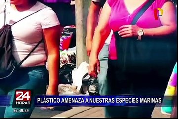 Ministra del Ambiente anuncia ley para reducir el consumo de plásticos