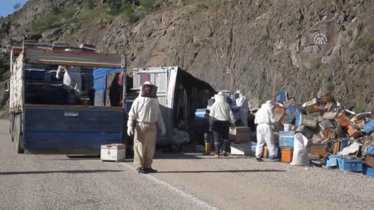 Devrilen Kamyondaki Arı Kovanları Karayoluna Saçıldı