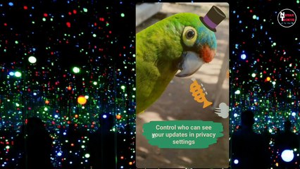 WhatsApp Latest Cool Tricks -2018