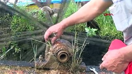 11 yıldır kendi elektriğini üretiyor