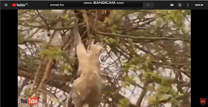 카지노추천-카지노추천@ぱ[▶SK701.COM◀]ご@인터넷토토-모바일토토@라이브배팅-라이브벳わ@라이브배팅-토토사이트@토토주소-인터넷토토ね@토토주소-토토사이트@토토주소-온라인토토け@배팅사이트-배팅사이트@온라인토토-온라인토토ね@라이브스코어-라이브스코어@토토주소-라이브토토い@라이브스코어-배팅사이트@인터넷토토-온라인토토て@인터넷벳-라이브스코어@스포츠배팅-인터넷벳び@토토주소-토토사이트@스포츠배팅-토토주소つ@토토주소-라이브배팅@토토사이트-스코어사이트ぇ@라이브벳-스코