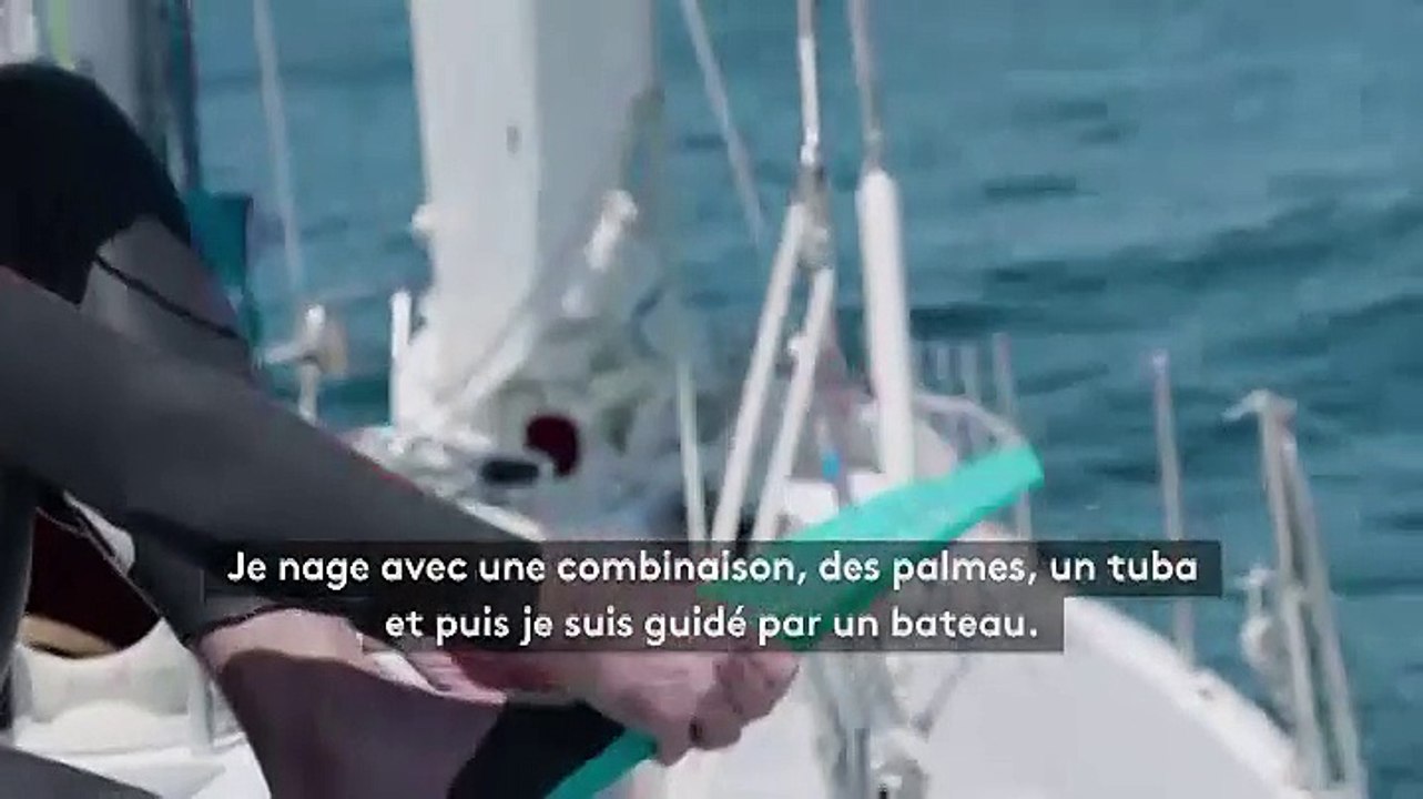 "J'espère voir des requins" : un Français va traverser l'océan Pacifique... à la nage !