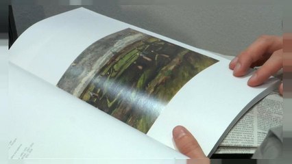 An early painting by Vincent Van Gogh has sold for more than € 7m