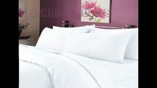 [- Luxury 100% Egyptian Cotton Duvet Quilt Cover & Pillowcase Bedding Set All Sizes (White, Kin