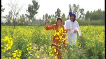Mera Challada Nai Mery Uttay Zorr Sajna | Hina Nasarullah | Heer Ranjha | Punjabi | Folk
