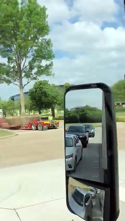Tree transfer technique in usa