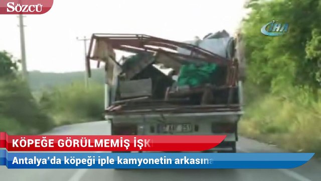 Köpeğe görülmemiş işkence