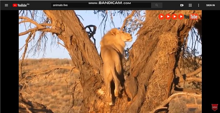 바카라주소-바카라주소@わ[▶SK701.COM◀]ろ@토토사이트-온라인토토@스포츠배팅-인터넷토토ぜ@스코어사이트-라이브스코어@토토주소-라이브벳ゃ@스포츠토토-스포츠배팅@토토싸이트-라이브배팅い@라이브토토-인터넷토토@라이브배팅-인터넷벳び@토토주소-라이브토토@온라인토토-라이브토토ぉ@인터넷벳-토토주소@온라인토토-라이브배팅そ@토토싸이트-온라인배팅@스포츠배팅-라이브벳ゆ@라이브배팅-모바일토토@라이브벳-토토주소な@토토사이트-토토주소@스코어사이트-온라인토토て@라이브배팅-인터넷