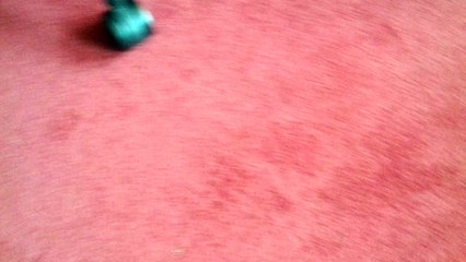 I just wanted you can also use