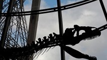 Für mehr als zwei Millionen Euro: Dino-Skelett versteigert