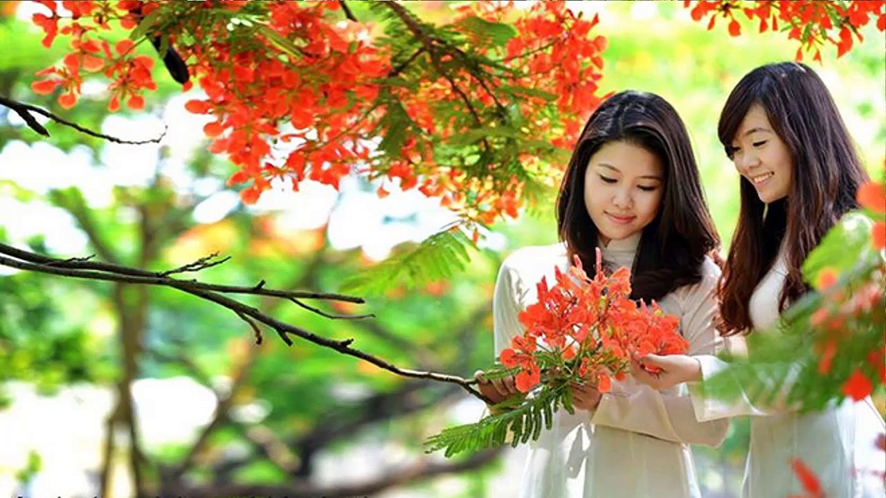 Kỉ niệm một mùa hè - TUẤN VŨ - nhac vàng chọn lọc